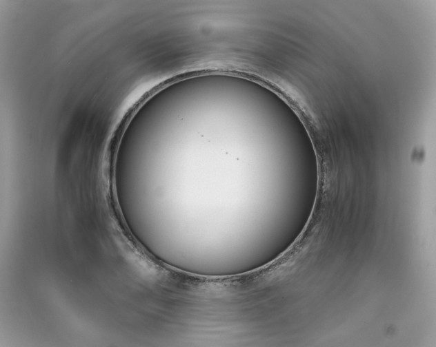 X0000091301078200708101303