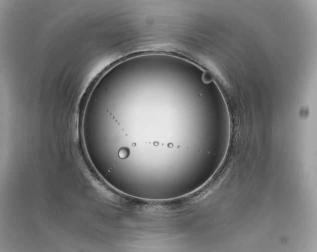 X0000091301079200708101303