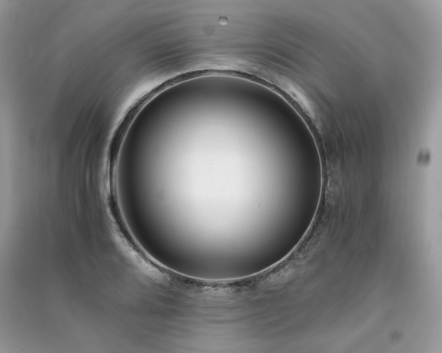 X0000091301080200708101303