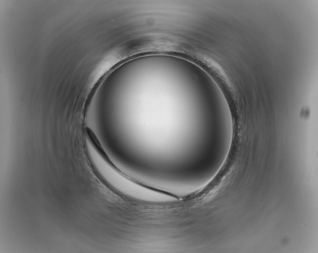 X0000091301081200708101303