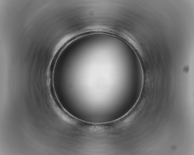 X0000091301082200708101303