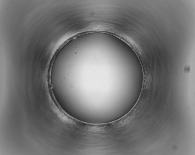 X0000091301086200708101303
