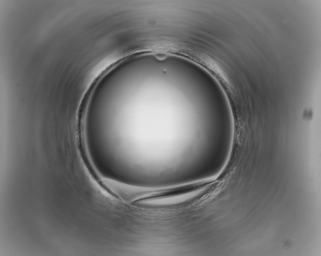 X0000091301087200708101303
