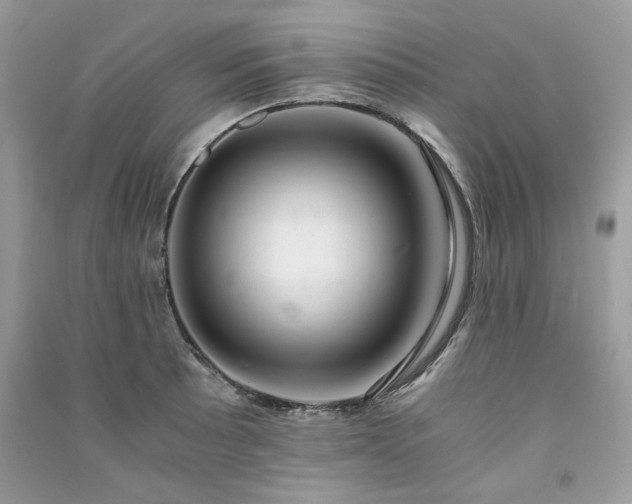 X0000091301089200708101303