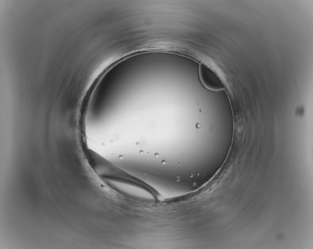 X0000091301091200708101303