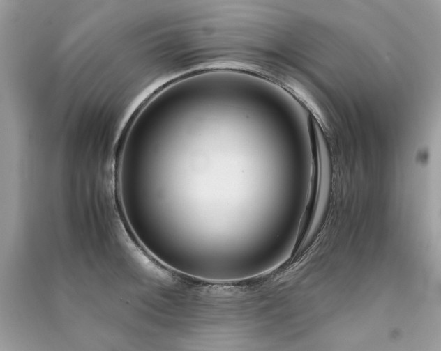 X0000091301092200708101303