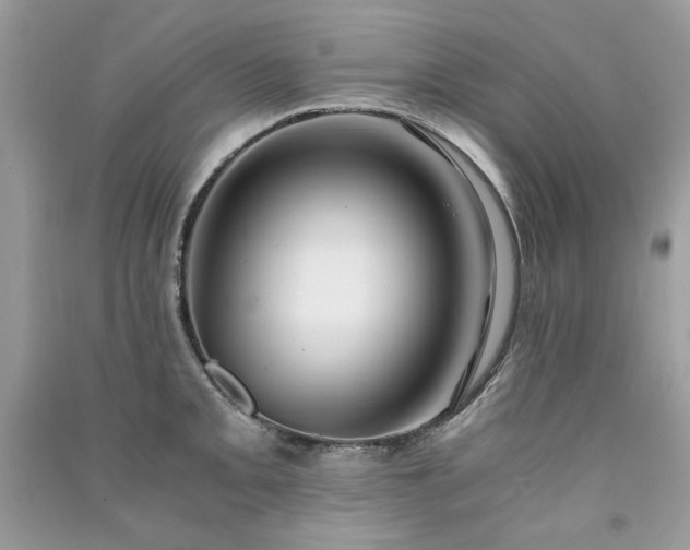 X0000091301093200708101303
