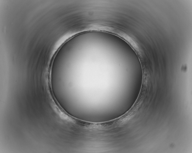X0000091301094200708101303