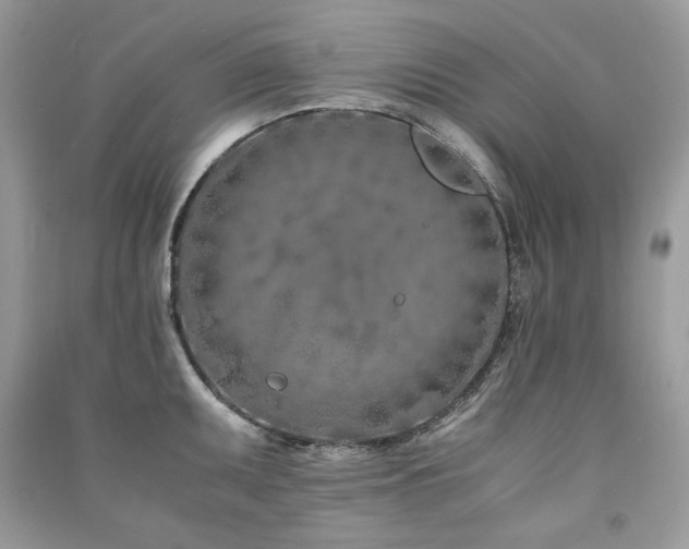 X0000091301095200708101302
