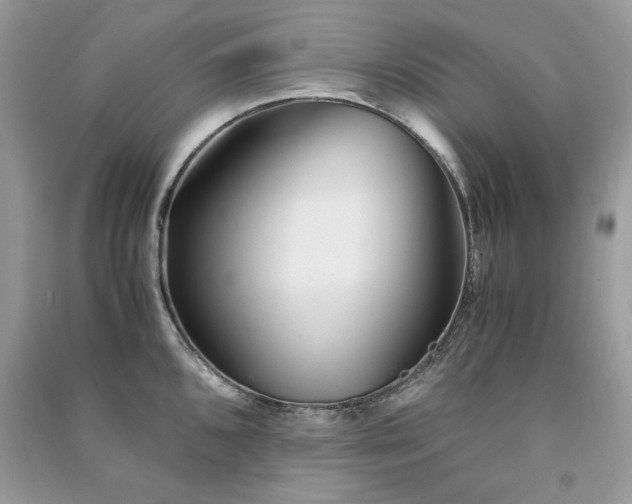X0000091301096200708101302