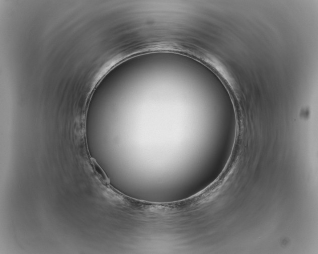 X0000091301097200708101302