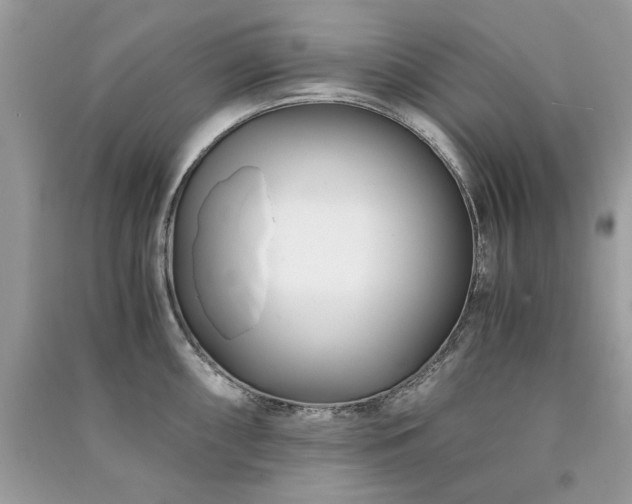 X0000091301098200708101302