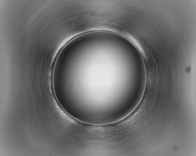 X0000091301100200708101302