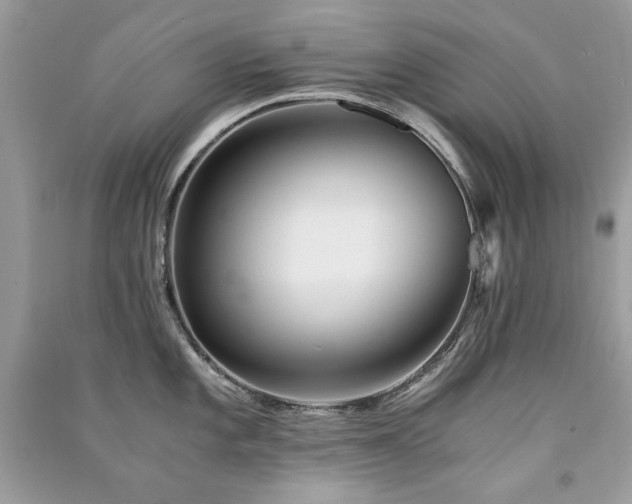X0000091301101200708101302