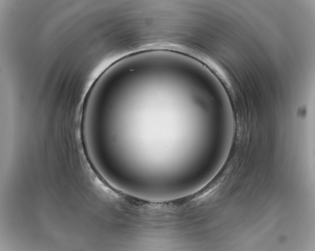 X0000091301102200708101302