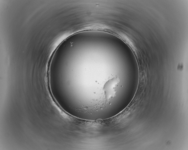 X0000091301103200708101302