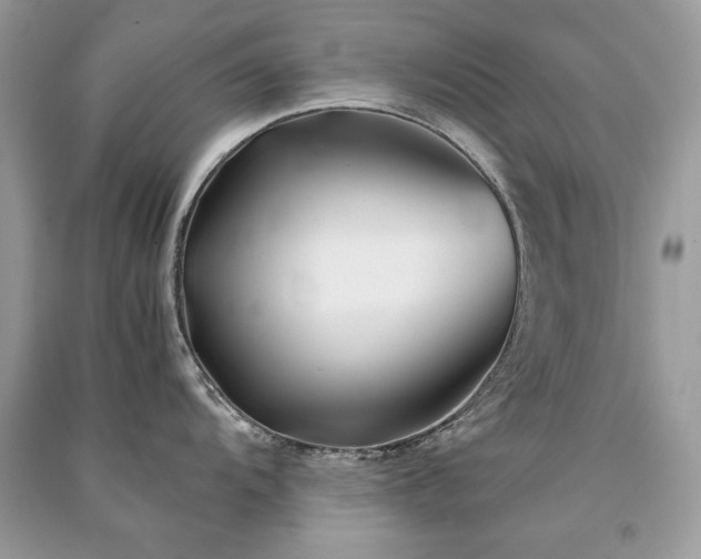 X0000091301104200708101302