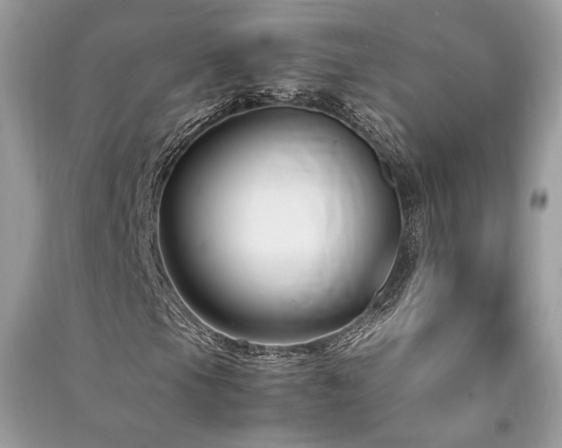 X0000091301105200708101302