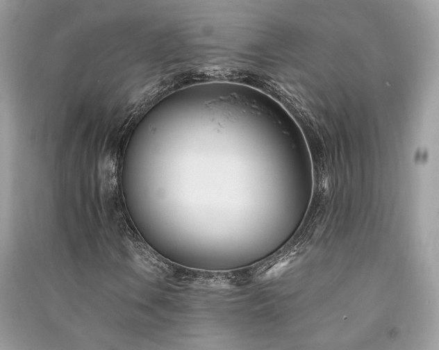 X0000091301106200708101302