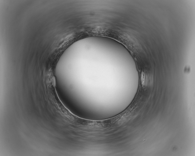 X0000091301107200708101302