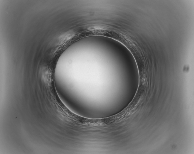 X0000091301108200708101302