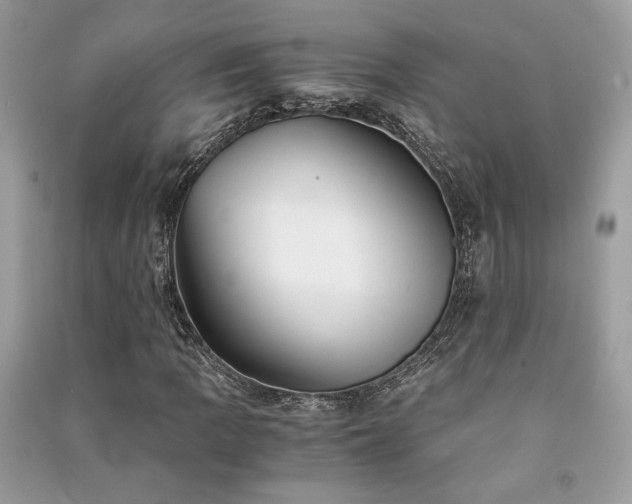 X0000091301109200708101302