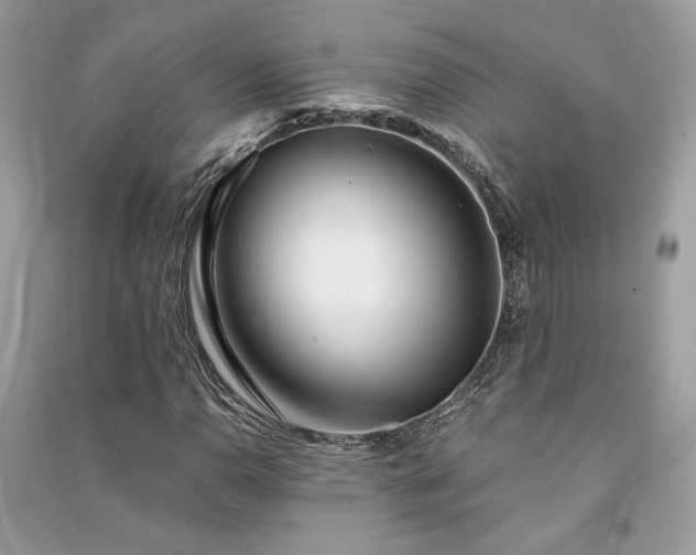 X0000091301110200708101302