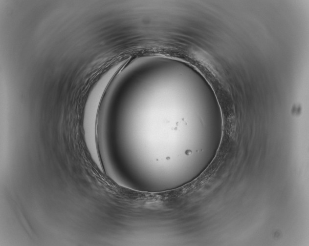 X0000091301111200708101302