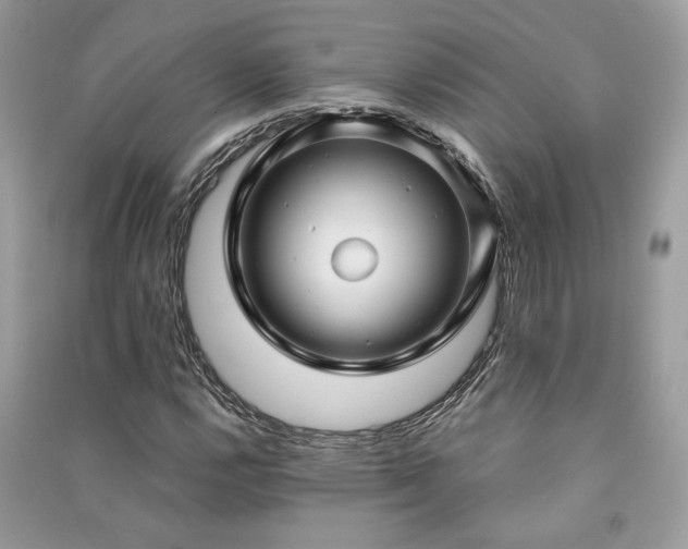 X0000091301112200708101302