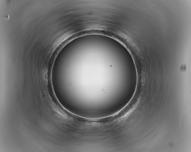 X0000091301113200708101302