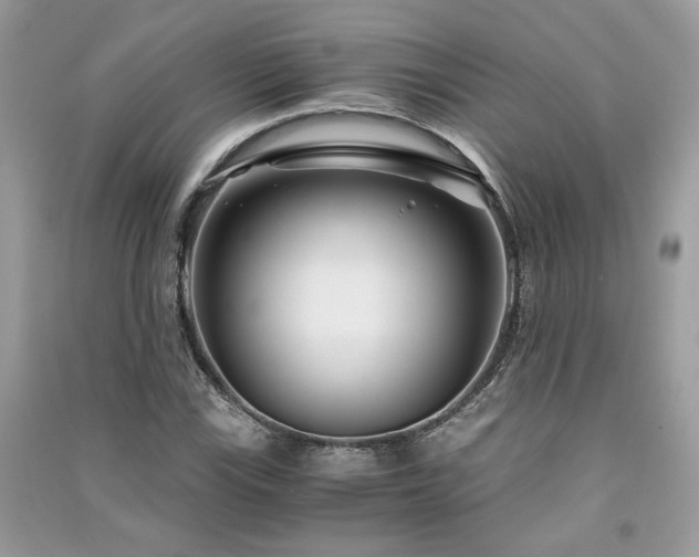 X0000091301115200708101302