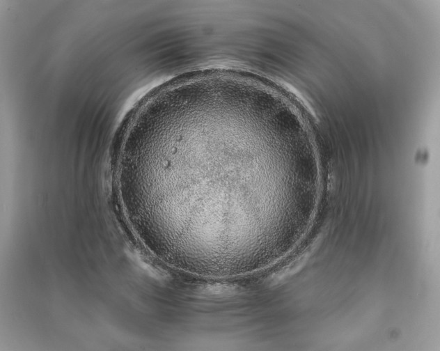 X0000091301117200708101302