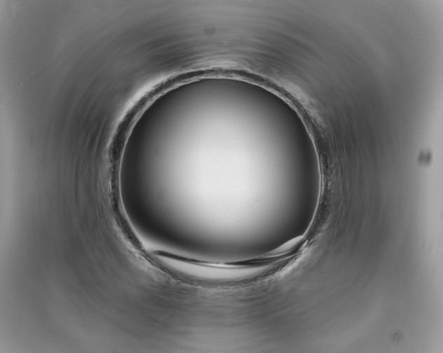 X0000091301118200708101302