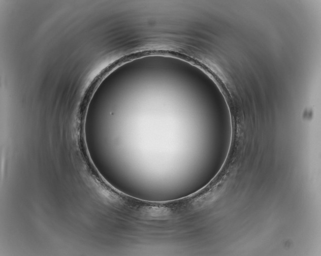 X0000091301119200708101302