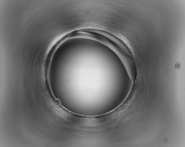 X0000091301120200708101302