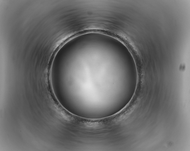 X0000091301121200708101302