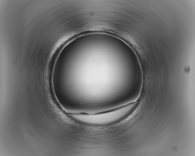 X0000091301122200708101302