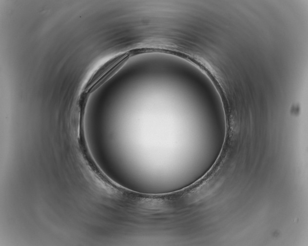 X0000091301123200708101302