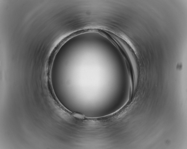 X0000091301124200708101302