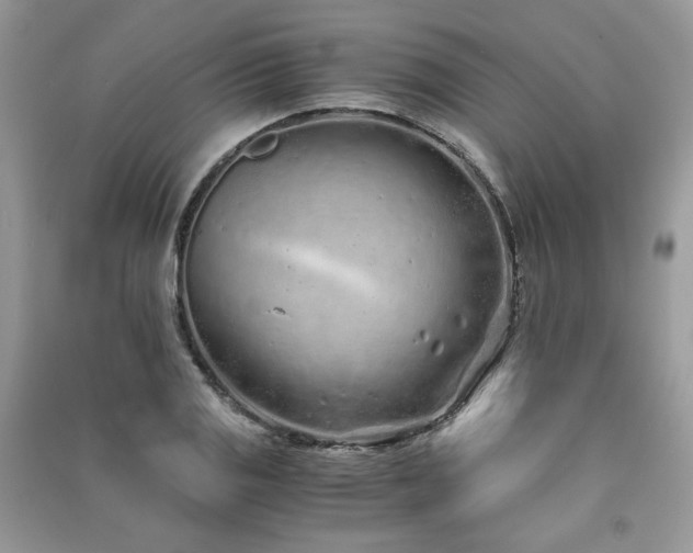 X0000091301125200708101302