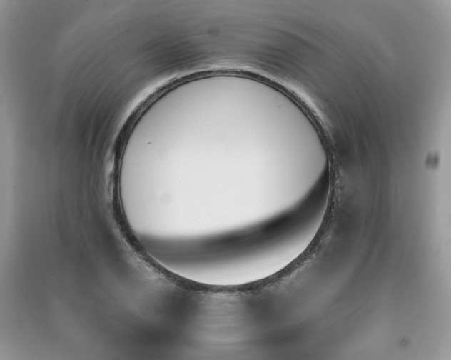 X0000091301126200708101302