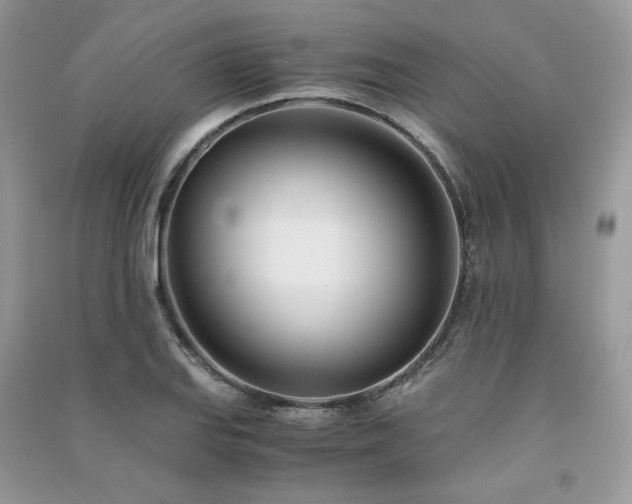 X0000091301127200708101302