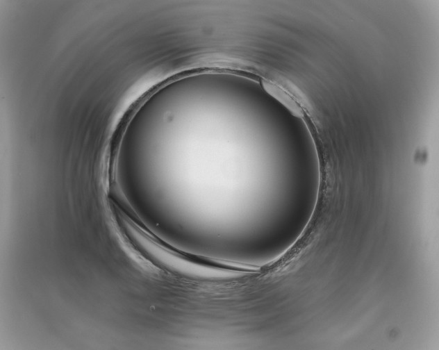 X0000091301128200708101302