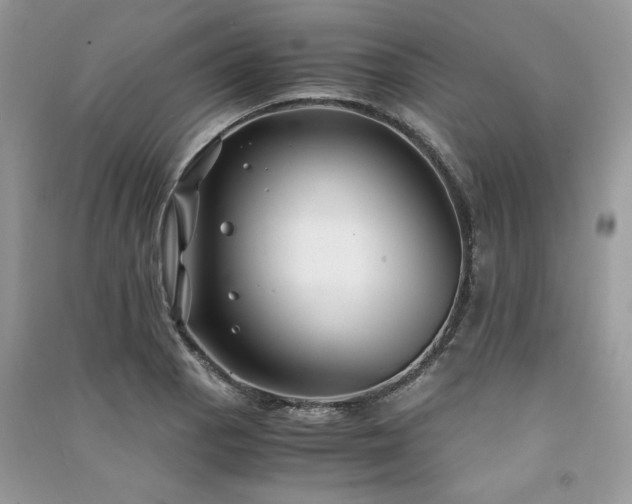 X0000091301129200708101302