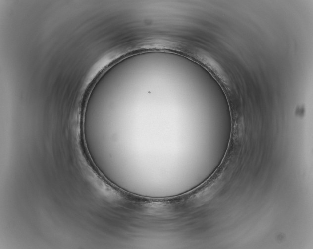 X0000091301130200708101302