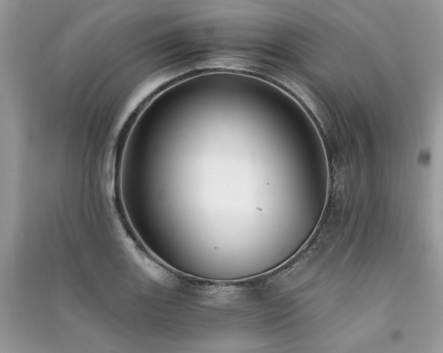 X0000091301131200708101302