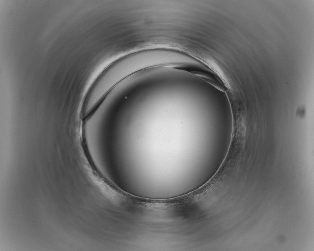 X0000091301132200708101302
