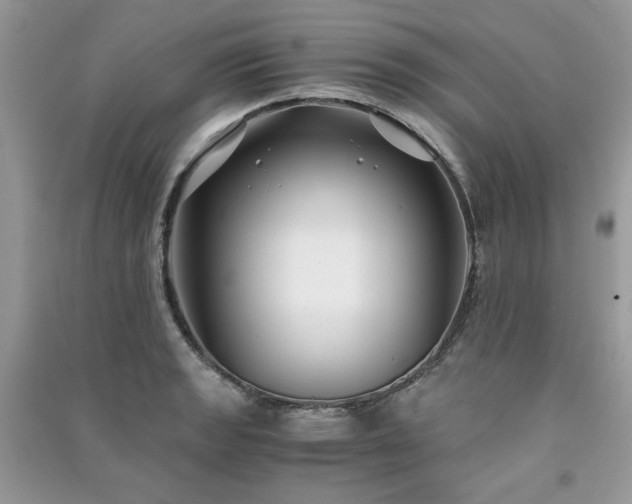 X0000091301133200708101302
