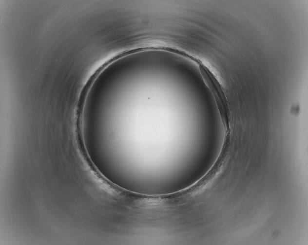 X0000091301134200708101302