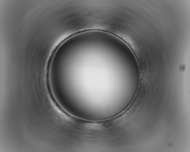 X0000091301135200708101302
